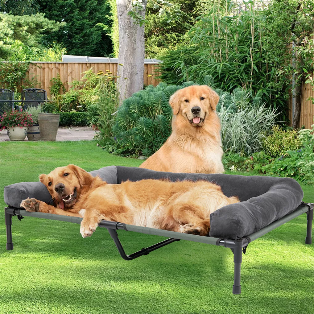 Outdoor Camping Cot - BINGOPAW Lit de chien d'extérieur surélevé