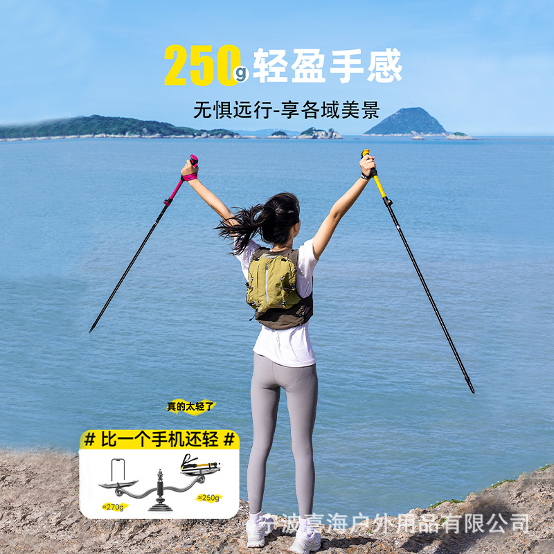Bâtons de randonnée pliables à - Trekking Poles avis et prix