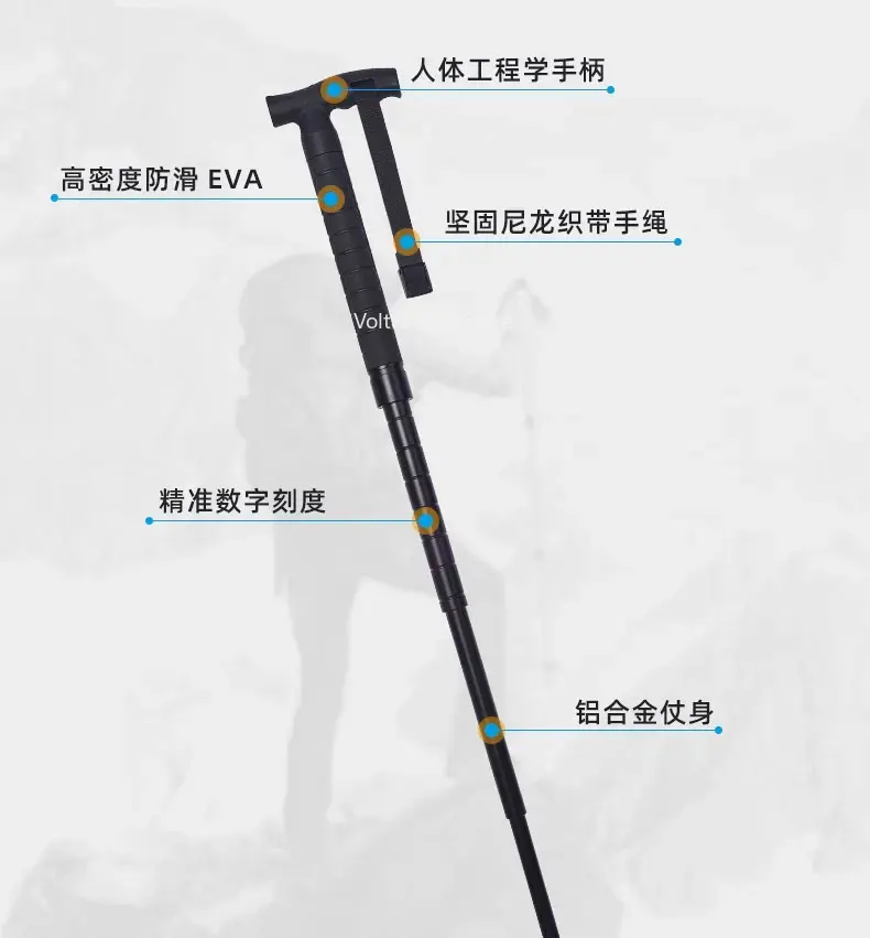 Bâton de randonnée rétractable - Trekking Poles avis et prix