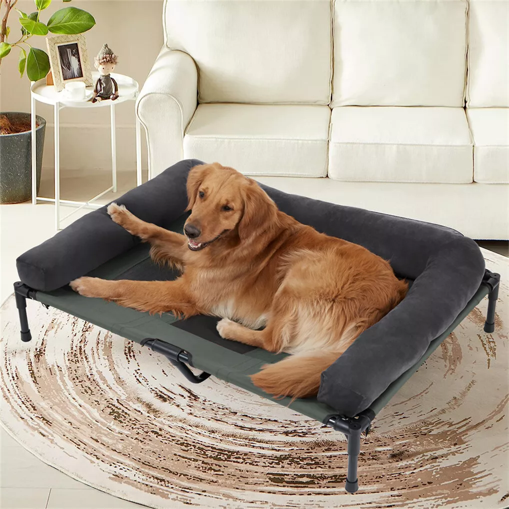 BINGOPAW Lit de chien d'extéri - Outdoor Camping Cot avis et prix