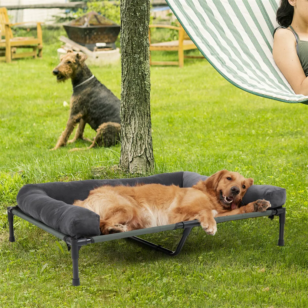 BINGOPAW Lit de chien d'extéri - Outdoor Camping Cot avis et prix