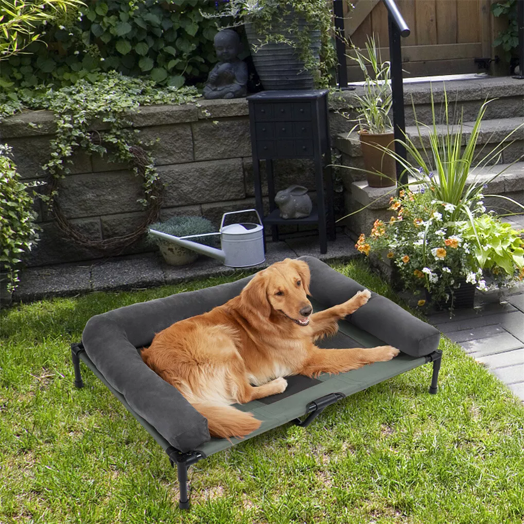 BINGOPAW Lit de chien d'extéri - Outdoor Camping Cot avis et prix
